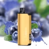 ALIBARBAR INGOT 9000 Puffs Blueberry Blast