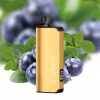 ALIBARBAR INGOT 9000 Puffs Blueberry Mint