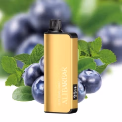 ALIBARBAR INGOT 9000 Puffs Blueberry Mint