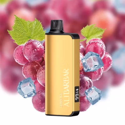 ALIBARBAR INGOT 9000 Puffs Grape Ice Vape