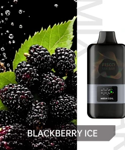 FISCO Mix Bar 12000 BLACKBERRY ICE