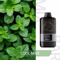 FISCO Mix Bar 12000 COOL MINT
