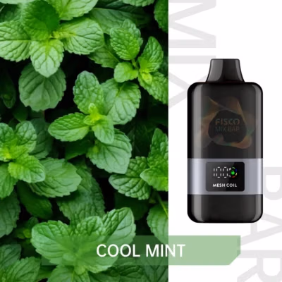FISCO Mix Bar 12000 Cool Mint | Premium High-Capacity Vape