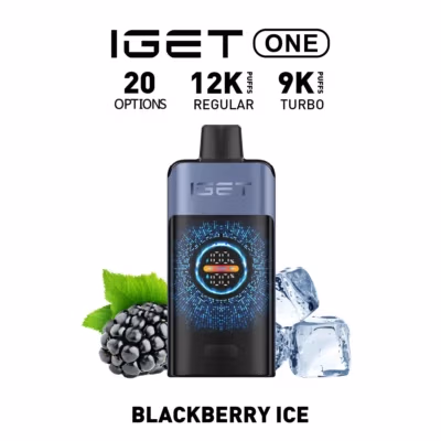 IGET ONE Vape 12000 Puffs Blackberry Ice | Smart Display Rechargeable Device