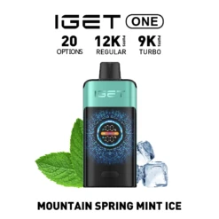 IGET ONE Vape 12000 PUFFS MOUNTAIN SPRING MINT ICE